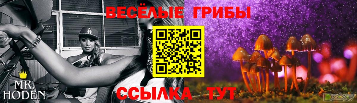 Новотроицк  Галлюциногенные грибы прущие грибы  Вход с VPN  Галлюциногенные грибы MAGIC MUSHROOMS 